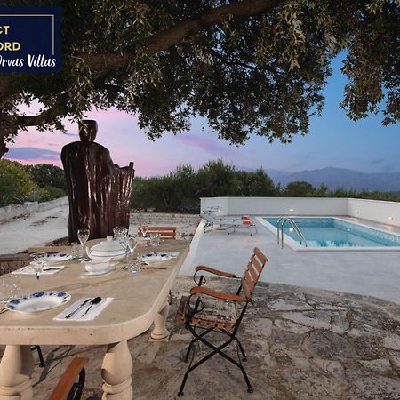 Villa Dubrava Tranquil Retreat Nestled In An Olive Grove For Serene Escapes 普契什查 外观 照片