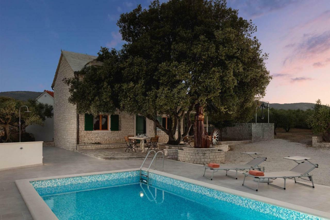 Villa Dubrava Tranquil Retreat Nestled In An Olive Grove For Serene Escapes 普契什查 外观 照片