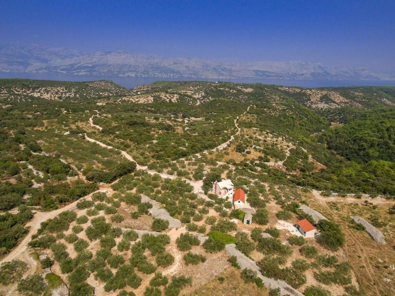 Villa Dubrava Tranquil Retreat Nestled In An Olive Grove For Serene Escapes 普契什查 外观 照片